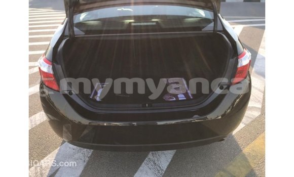 Buy Import Toyota Corolla Black Car in Import - Dubai in Ayeyarwady Buy Import Toyota Corolla Black Car in Import - Dubai in Ayeyarwady