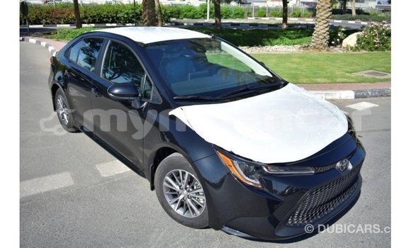 Buy Import Toyota Corolla Black Car in Import - Dubai in Ayeyarwady Buy Import Toyota Corolla Black Car in Import - Dubai in Ayeyarwady