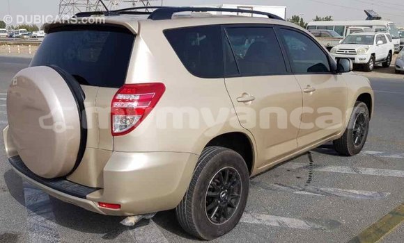 Buy Import Toyota RAV4 Other Car in Import - Dubai in Ayeyarwady Buy Import Toyota RAV4 Other Car in Import - Dubai in Ayeyarwady