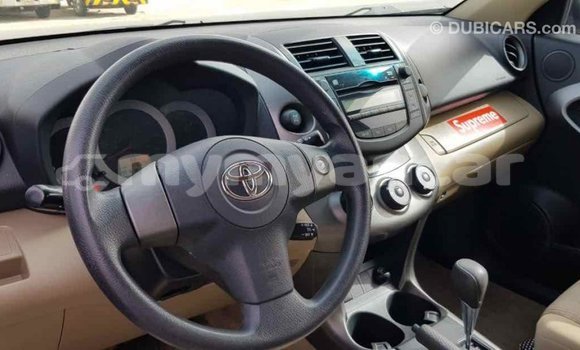 Buy Import Toyota RAV4 Other Car in Import - Dubai in Ayeyarwady Buy Import Toyota RAV4 Other Car in Import - Dubai in Ayeyarwady
