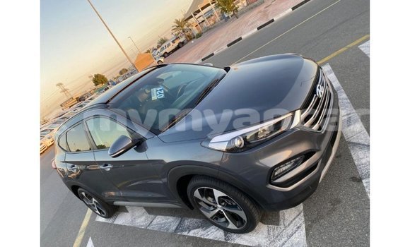 Buy Import Hyundai Tucson Other Car in Import - Dubai in Ayeyarwady Buy Import Hyundai Tucson Other Car in Import - Dubai in Ayeyarwady