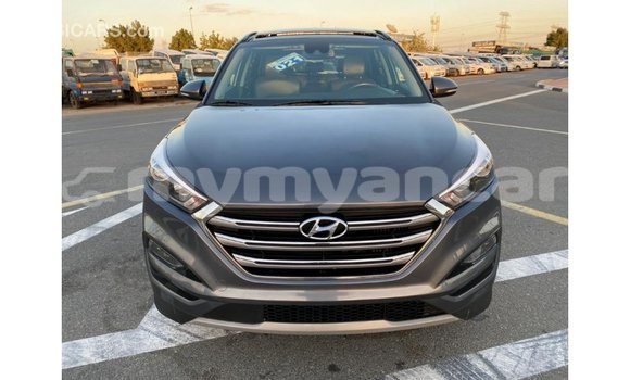 Buy Import Hyundai Tucson Other Car in Import - Dubai in Ayeyarwady Buy Import Hyundai Tucson Other Car in Import - Dubai in Ayeyarwady