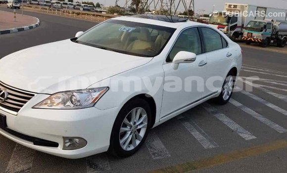 Buy Import Lexus ES White Car in Import - Dubai in Ayeyarwady Buy Import Lexus ES White Car in Import - Dubai in Ayeyarwady