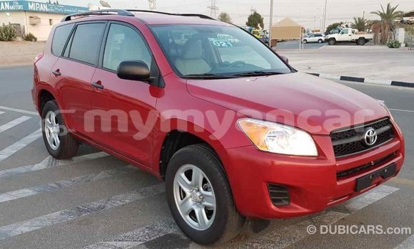 Buy Import Toyota RAV4 Red Car in Import - Dubai in Ayeyarwady Buy Import Toyota RAV4 Red Car in Import - Dubai in Ayeyarwady