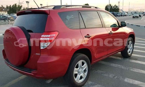 Buy Import Toyota RAV4 Red Car in Import - Dubai in Ayeyarwady Buy Import Toyota RAV4 Red Car in Import - Dubai in Ayeyarwady