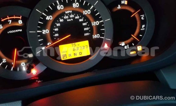 Buy Import Toyota RAV4 Red Car in Import - Dubai in Ayeyarwady Buy Import Toyota RAV4 Red Car in Import - Dubai in Ayeyarwady