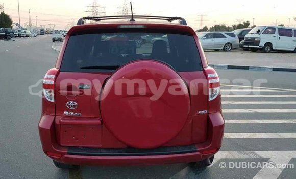 Buy Import Toyota RAV4 Red Car in Import - Dubai in Ayeyarwady Buy Import Toyota RAV4 Red Car in Import - Dubai in Ayeyarwady