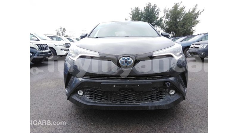 Big with watermark 2e1d4dde 9306 4c41 b140 a689fe499b6b