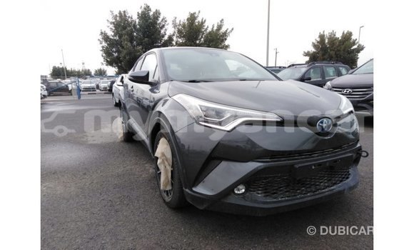Buy Import Toyota C-HR Other Car in Import - Dubai in Ayeyarwady Buy Import Toyota C-HR Other Car in Import - Dubai in Ayeyarwady
