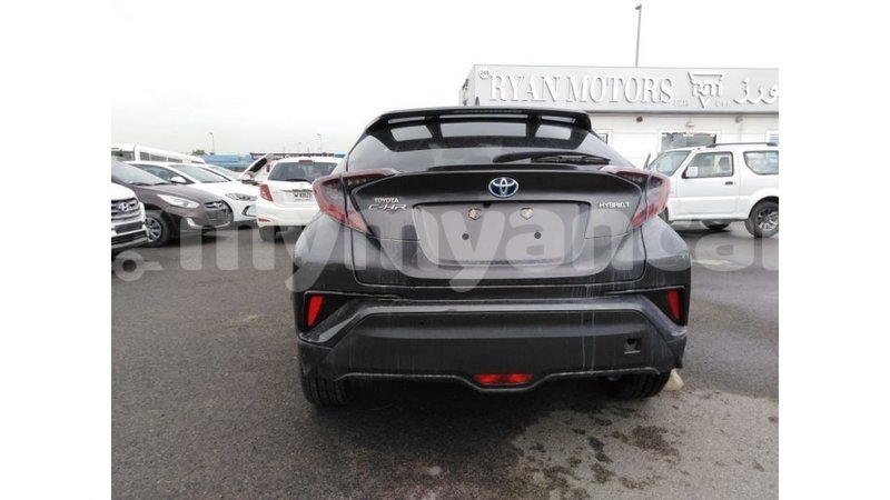 Big with watermark b619c7b7 f9f6 4e72 836d 1f123d9e2426