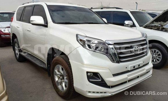 Acheter Import Voiture Toyota Prado Blanc à Import - Dubai, #<Region:0x000000000c5121b8> Acheter Import Voiture Toyota Prado Blanc à Import - Dubai, #<Region:0x000000000c5121b8>