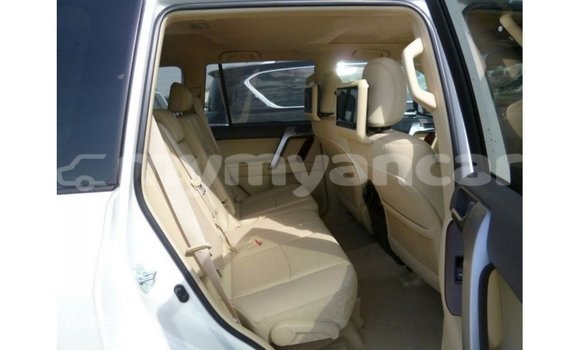 သွင်းကုန် Toyota Prado White ကား Import - Dubai Ayeyarwady သွင်းကုန် Toyota Prado White ကား Import - Dubai Ayeyarwady