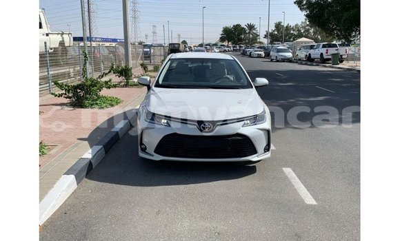 Buy Import Toyota Corolla White Car in Import - Dubai in Ayeyarwady Buy Import Toyota Corolla White Car in Import - Dubai in Ayeyarwady