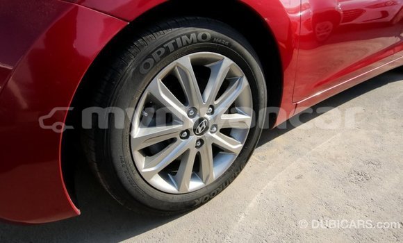 Acheter Import Voiture Hyundai Elantra Rouge à Import - Dubai, #<Region:0x000000000c5121b8>