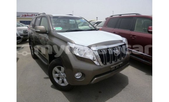 Buy Import Toyota Prado Brown Car in Import - Dubai in Ayeyarwady Buy Import Toyota Prado Brown Car in Import - Dubai in Ayeyarwady