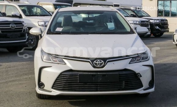 Buy Import Toyota Corolla White Car in Import - Dubai in Ayeyarwady Buy Import Toyota Corolla White Car in Import - Dubai in Ayeyarwady
