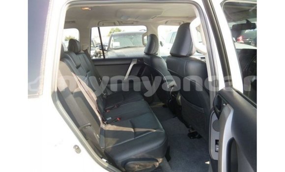 Buy Import Toyota Prado White Car in Import - Dubai in Ayeyarwady Buy Import Toyota Prado White Car in Import - Dubai in Ayeyarwady