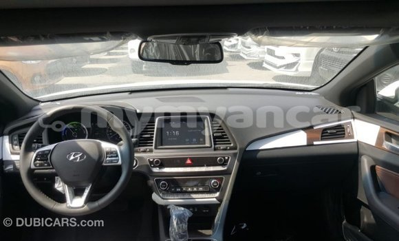Buy Import Hyundai Sonata White Car in Import - Dubai in Ayeyarwady Buy Import Hyundai Sonata White Car in Import - Dubai in Ayeyarwady
