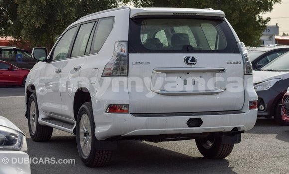 Buy Import Lexus GX White Car in Import - Dubai in Ayeyarwady Buy Import Lexus GX White Car in Import - Dubai in Ayeyarwady