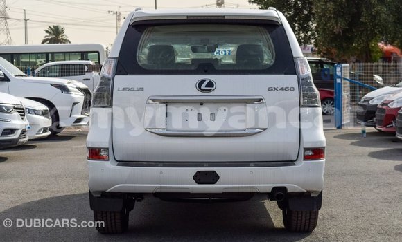 Buy Import Lexus GX White Car in Import - Dubai in Ayeyarwady Buy Import Lexus GX White Car in Import - Dubai in Ayeyarwady