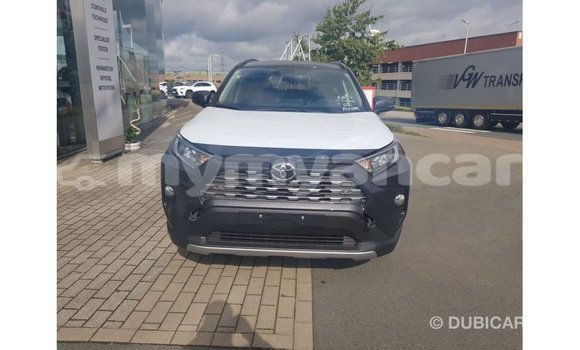Buy Import Toyota RAV4 Other Car in Import - Dubai in Ayeyarwady Buy Import Toyota RAV4 Other Car in Import - Dubai in Ayeyarwady