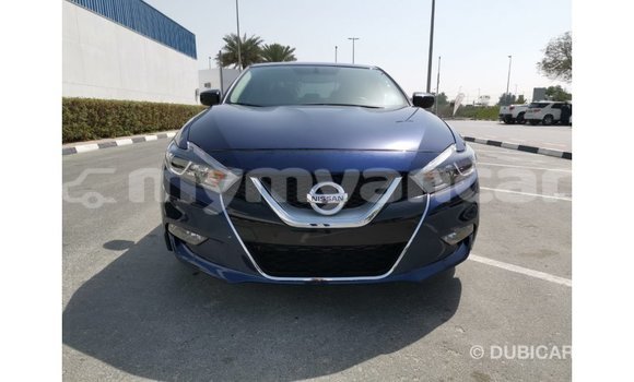 Buy Import Nissan Maxima Blue Car in Import - Dubai in Ayeyarwady Buy Import Nissan Maxima Blue Car in Import - Dubai in Ayeyarwady