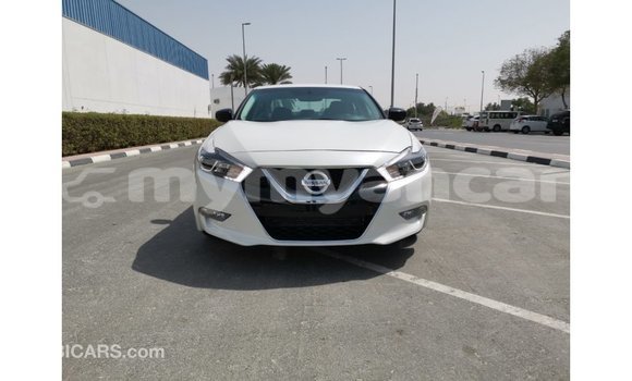 Buy Import Nissan Maxima White Car in Import - Dubai in Ayeyarwady Buy Import Nissan Maxima White Car in Import - Dubai in Ayeyarwady