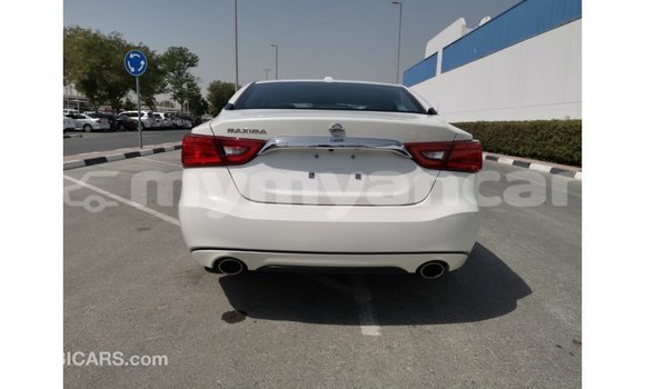 Buy Import Nissan Maxima White Car in Import - Dubai in Ayeyarwady Buy Import Nissan Maxima White Car in Import - Dubai in Ayeyarwady