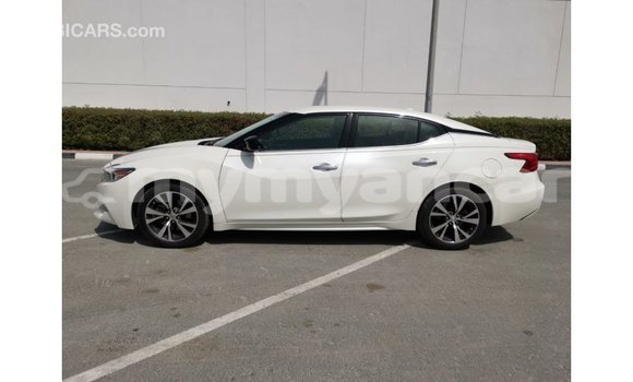Buy Import Nissan Maxima White Car in Import - Dubai in Ayeyarwady Buy Import Nissan Maxima White Car in Import - Dubai in Ayeyarwady
