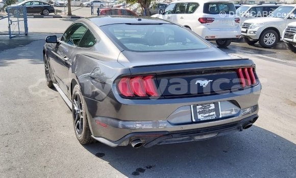 Buy Import Ford Mustang Other Car in Import - Dubai in Ayeyarwady Buy Import Ford Mustang Other Car in Import - Dubai in Ayeyarwady