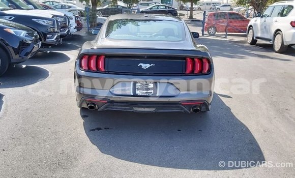 Buy Import Ford Mustang Other Car in Import - Dubai in Ayeyarwady Buy Import Ford Mustang Other Car in Import - Dubai in Ayeyarwady