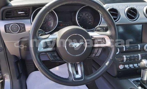 Buy Import Ford Mustang Other Car in Import - Dubai in Ayeyarwady Buy Import Ford Mustang Other Car in Import - Dubai in Ayeyarwady