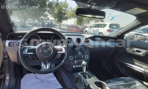 Buy Import Ford Mustang Other Car in Import - Dubai in Ayeyarwady Buy Import Ford Mustang Other Car in Import - Dubai in Ayeyarwady