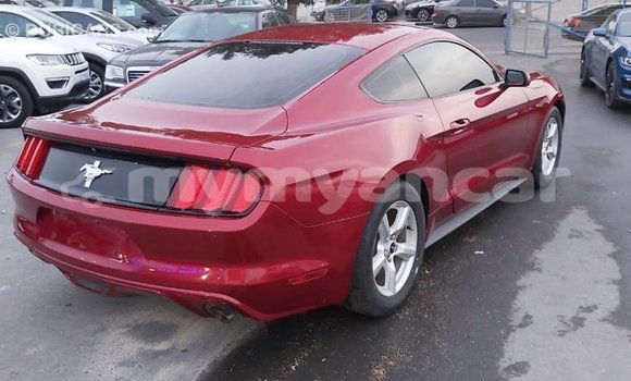 Buy Import Ford Mustang Red Car in Import - Dubai in Ayeyarwady Buy Import Ford Mustang Red Car in Import - Dubai in Ayeyarwady