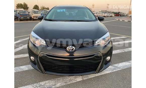 သွင်းကုန် Toyota Corolla Black ကား Import - Dubai Ayeyarwady သွင်းကုန် Toyota Corolla Black ကား Import - Dubai Ayeyarwady