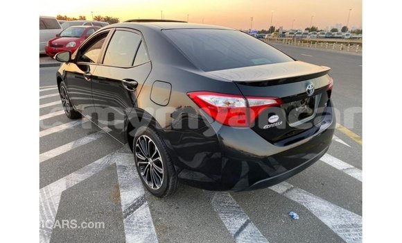 သွင်းကုန် Toyota Corolla Black ကား Import - Dubai Ayeyarwady သွင်းကုန် Toyota Corolla Black ကား Import - Dubai Ayeyarwady