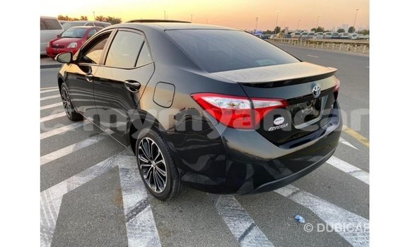 သွင်းကုန် Toyota Corolla Black ကား Import - Dubai Ayeyarwady သွင်းကုန် Toyota Corolla Black ကား Import - Dubai Ayeyarwady
