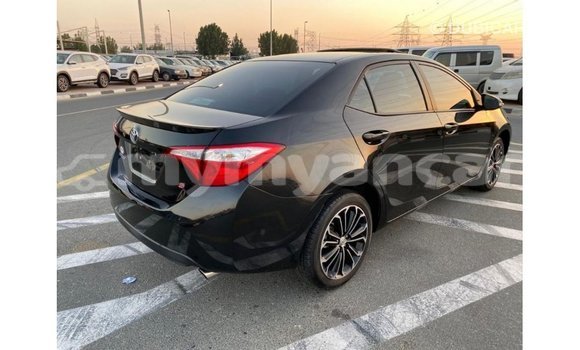 သွင်းကုန် Toyota Corolla Black ကား Import - Dubai Ayeyarwady သွင်းကုန် Toyota Corolla Black ကား Import - Dubai Ayeyarwady