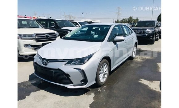 Buy Import Toyota Corolla White Car in Import - Dubai in Ayeyarwady Buy Import Toyota Corolla White Car in Import - Dubai in Ayeyarwady