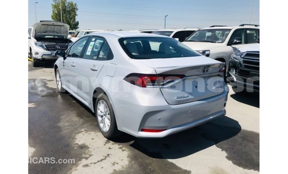 Buy Import Toyota Corolla White Car in Import - Dubai in Ayeyarwady Buy Import Toyota Corolla White Car in Import - Dubai in Ayeyarwady