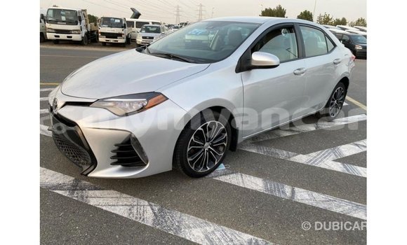 Buy Import Toyota Corolla Other Car in Import - Dubai in Ayeyarwady Buy Import Toyota Corolla Other Car in Import - Dubai in Ayeyarwady