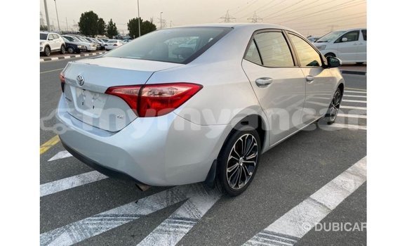 Buy Import Toyota Corolla Other Car in Import - Dubai in Ayeyarwady Buy Import Toyota Corolla Other Car in Import - Dubai in Ayeyarwady