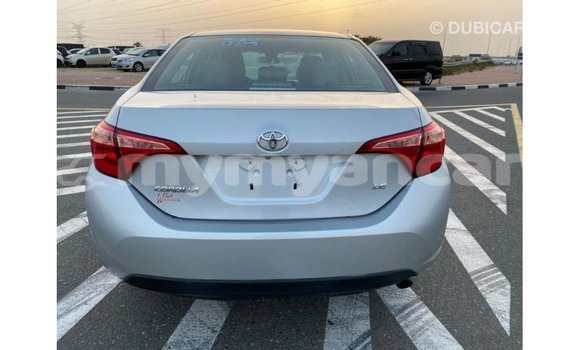 Buy Import Toyota Corolla Other Car in Import - Dubai in Ayeyarwady Buy Import Toyota Corolla Other Car in Import - Dubai in Ayeyarwady