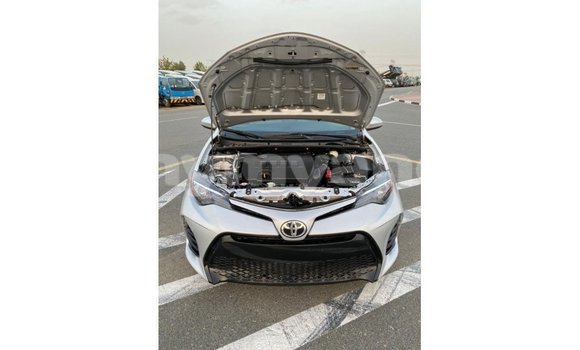 Buy Import Toyota Corolla Other Car in Import - Dubai in Ayeyarwady Buy Import Toyota Corolla Other Car in Import - Dubai in Ayeyarwady
