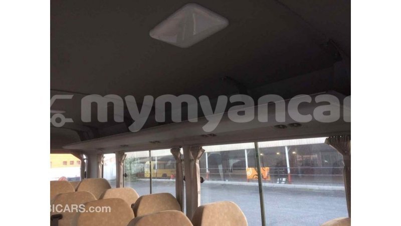 Big with watermark 0fe638be 88ae 445b bfc3 9811a2f2c630