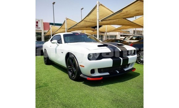 Acheter Import Voiture Dodge Challenger Blanc à Import - Dubai, #<Region:0x000000000c5121b8>