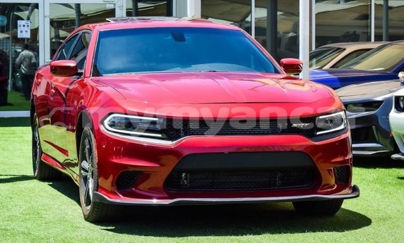 Buy Import Dodge Charger Red Car in Import - Dubai in Ayeyarwady
