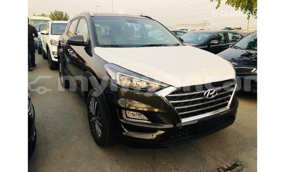Buy Import Hyundai Tucson Brown Car in Import - Dubai in Ayeyarwady Buy Import Hyundai Tucson Brown Car in Import - Dubai in Ayeyarwady