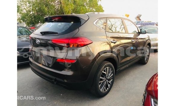 Buy Import Hyundai Tucson Brown Car in Import - Dubai in Ayeyarwady Buy Import Hyundai Tucson Brown Car in Import - Dubai in Ayeyarwady