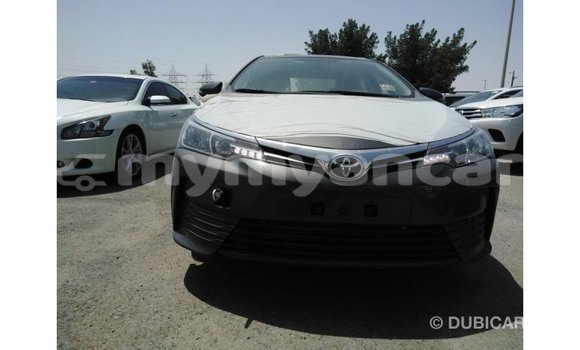 Buy Import Toyota Corolla Other Car in Import - Dubai in Ayeyarwady Buy Import Toyota Corolla Other Car in Import - Dubai in Ayeyarwady